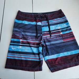 Oakley Board Shorts Mens Blue Red Black Striped Swim Trunks Mesh Unlined Sz 36